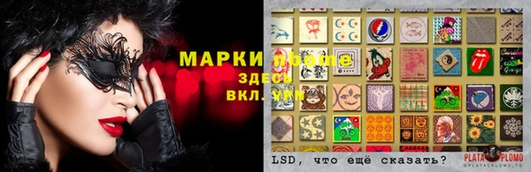 гашик Богородицк