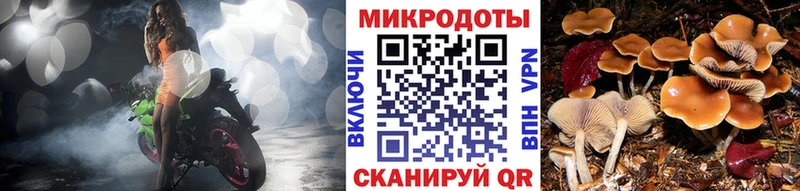 Купить где  Пятигорск  Галлюциногенные грибы MAGIC MUSHROOMS 